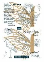 Tampons transparents A6 - cigogne