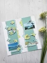 Tampons transparents A6 - Colibri
