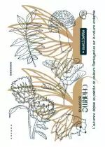 Tampons transparents A6 - cueillette