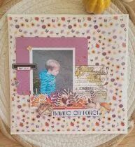 Tampons transparents A6 - cueillette