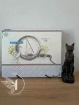 Tampons transparents A6 - égypte