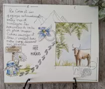 Tampons transparents A6 - étiquette bagage