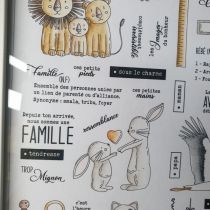 Tampons transparents A6 - famille