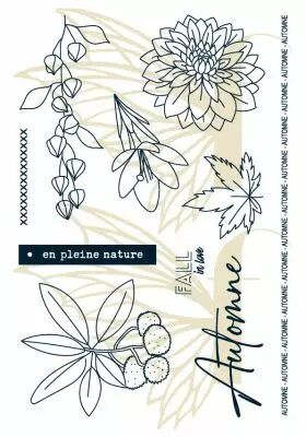 Tampons transparents A6 - feuilles d\'automne 2