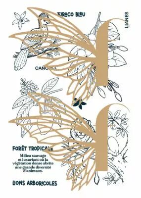 Tampons transparents A6 - For�t tropicale