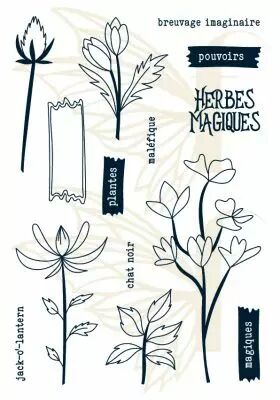 Tampons transparents A6 - herbes magiques