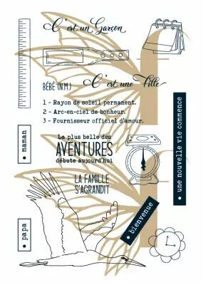 Tampons transparents A6 - l\'annonce