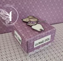 Tampons transparents A6 - la petite souris est passée