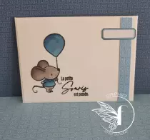 Tampons transparents A6 - la petite souris est passée