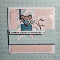 Tampons transparents A6 - la petite souris est pass&eacute;e