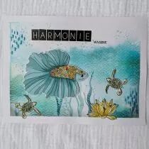 Tampons transparents A6 - le pays du sourire