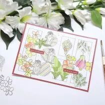 Tampons transparents A6 - les singes