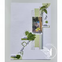 Tampons transparents A6 - Liane