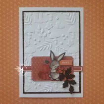 Tampons transparents A6 - marrons