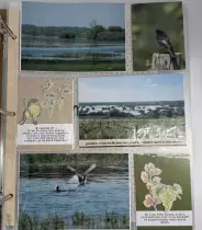 Tampons transparents A6 - Nantes Lieu Unique