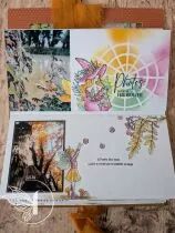 Tampons transparents A6 - noix