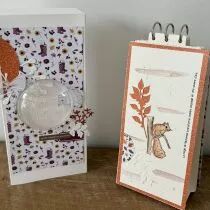 Tampons transparents A6 - noix