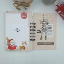 Tampons transparents A6 - pere noel