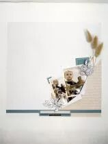 Tampons transparents A6 - roseaux