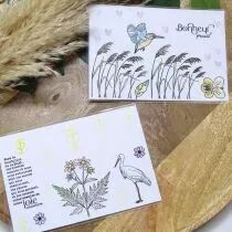 Tampons transparents A6 - roseaux