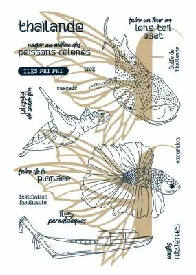 Tampons transparents A6 - tha�lande