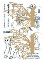 Tampons transparents A6 - Tribu de chimpanz�s