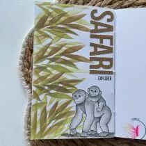 Tampons transparents A6 - Tribu de chimpanz&eacute;s