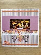 Tampons transparents A6 - vendange