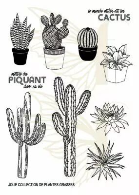 GLOBLELAND Tampons Transparents En Silicone En Forme De