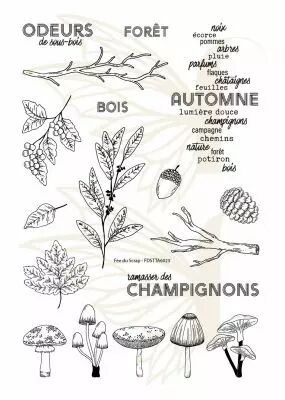TAMPONS TRANSPARENTS A6 CHAMPIGNONS