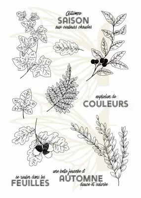 TAMPONS TRANSPARENTS A6 FEUILLAGES D AUTOMNE