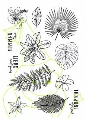TAMPONS TRANSPARENTS A6 FLORE TROPICALE