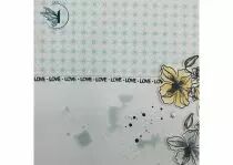 TAMPONS TRANSPARENTS A6 MY LOVE