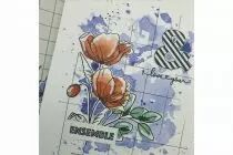 TAMPONS TRANSPARENTS A6 MY LOVE