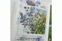 TAMPONS TRANSPARENTS A6 MY LOVE