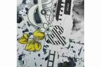 TAMPONS TRANSPARENTS A6 MY LOVE