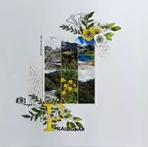 TAMPONS TRANSPARENTS A6 MY LOVE