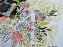 TAMPONS TRANSPARENTS A6 MY LOVE