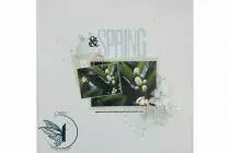 TAMPONS TRANSPARENTS A6 MY LOVE