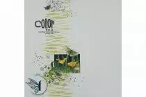 TAMPONS TRANSPARENTS A6 MY LOVE