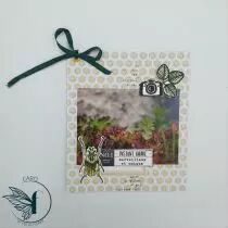 TAMPONS TRANSPARENTS A6 MY LOVE