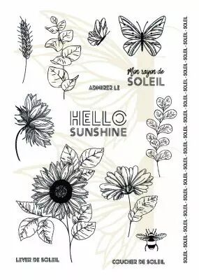 TAMPONS TRANSPARENTS A6 TOURNESOLS