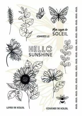 TAMPONS TRANSPARENTS A6 TOURNESOLS