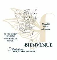 Tampons transparents A7 - F&eacute;e des cartes de bienvenue