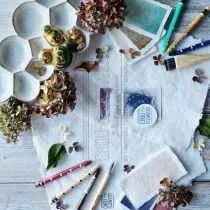 TAMPONS TRANSPARENTS A8 FAM101 COEUR FEUILLES