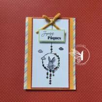 TAMPONS TRANSPARENTS DL CARTERIE OCCASIONS