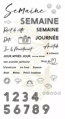 TAMPONS TRANSPARENTS DL PROJECT LIFE SEMAINE