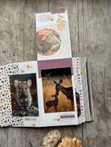 TAMPONS TRANSPARENTS P6 ECRITURE