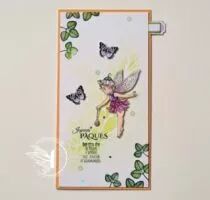 TAMPONS TRANSPARENTS P6 NATURE