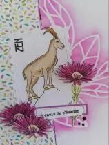 TAMPONS TRANSPARENTS P6 PHRASES UN AIR DE VOYAGE